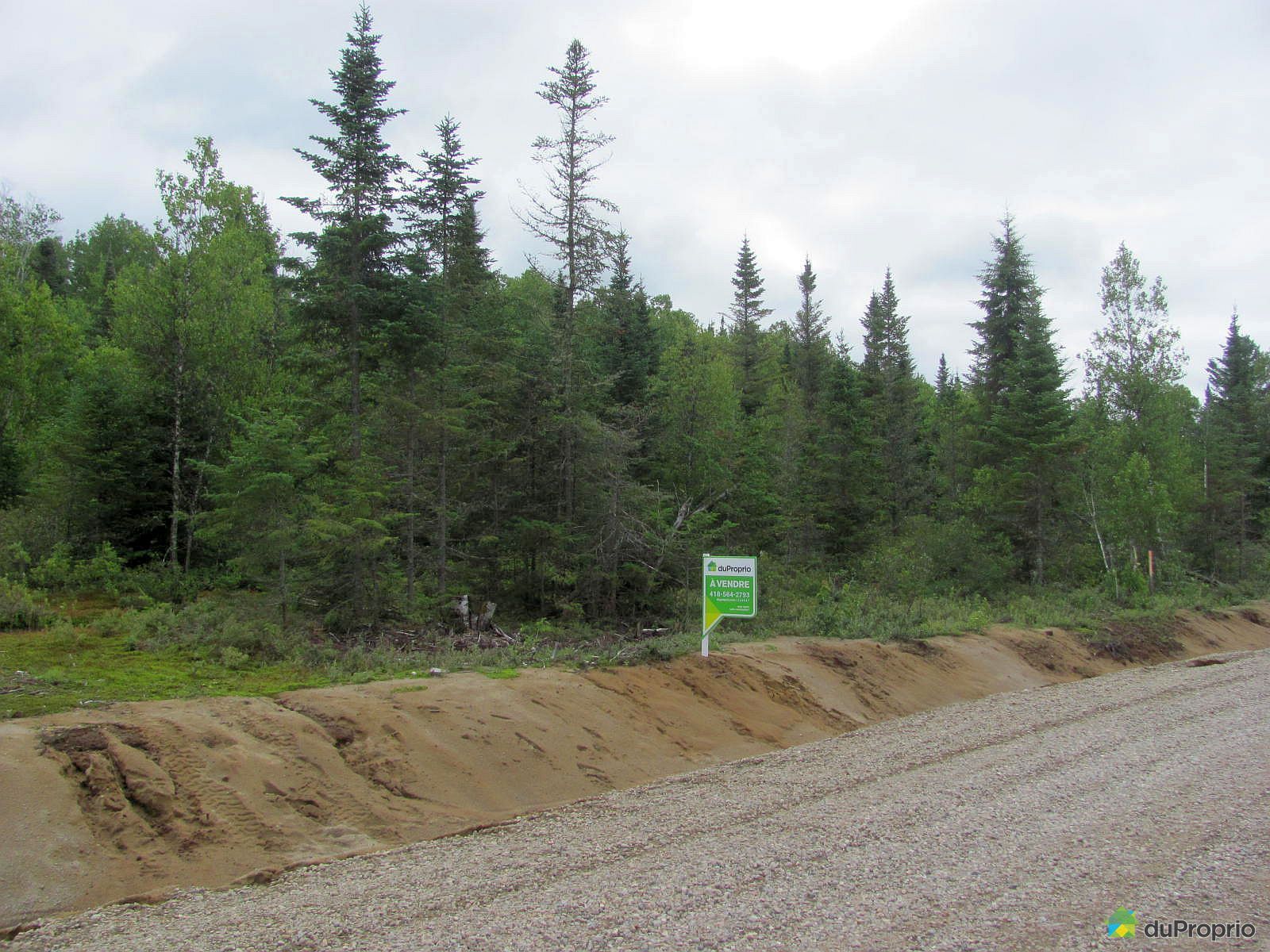 Terrain résidentiel à vendre RivièreàPierre, 5 avenue Delisle