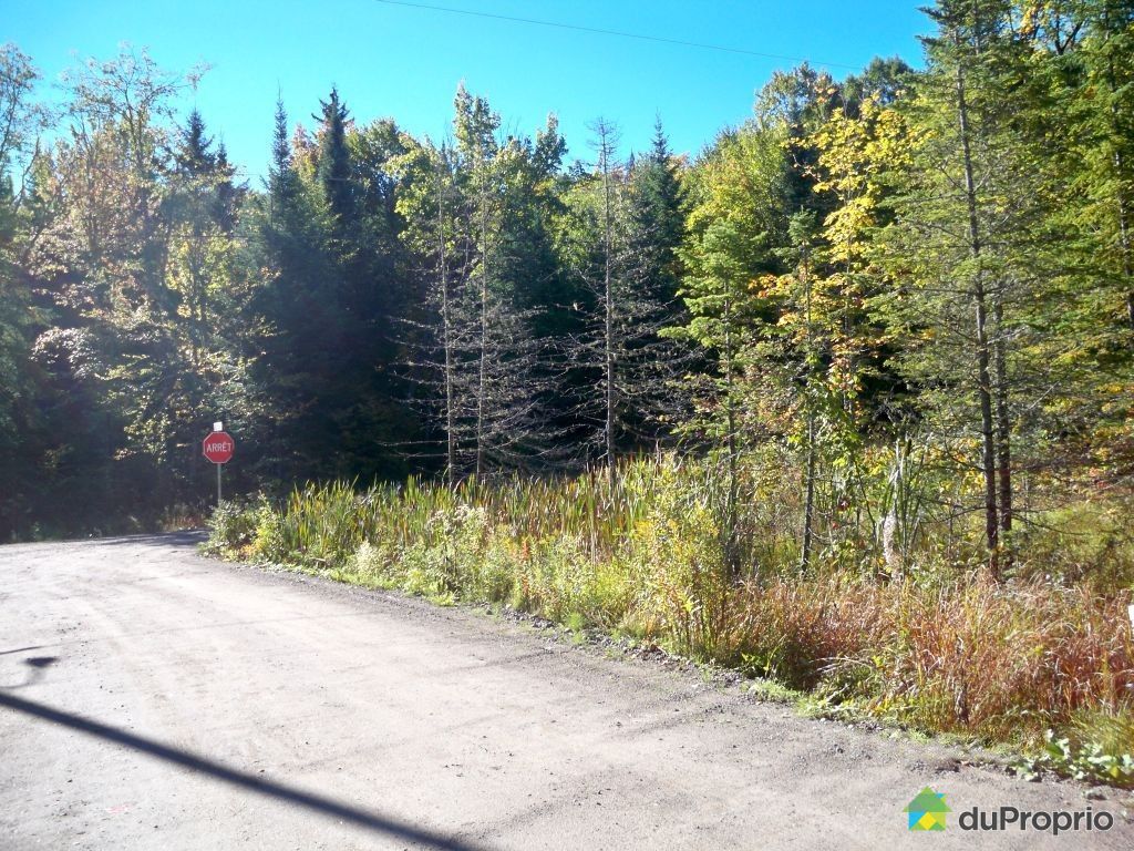 Terrain résidentiel à vendre SteAgatheDesMonts, 1001 impasse des