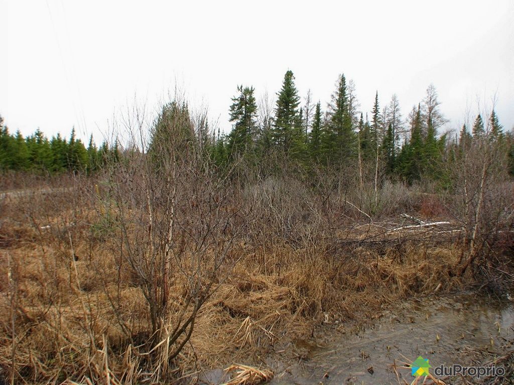 Terre à bois vendu StRaymond, immobilier Québec DuProprio 252588 Terre à bois vendu StRaymond, immobilier Québec DuProprio 252588
