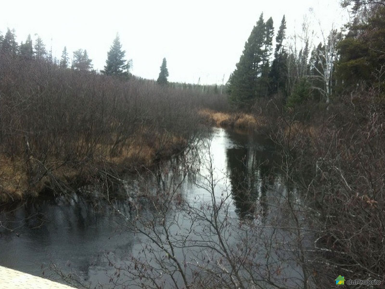 Terre à bois à vendre StZénon, 4 Petites terres semiboisées, immobilier Québec DuProprio Terre à bois à vendre StZénon, 4 Petites terres semiboisées, immobilier Québec DuProprio