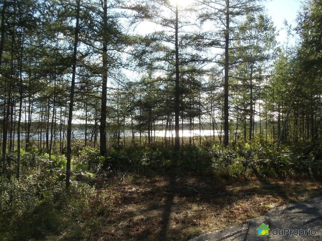 Terre à bois vendu Tourville, immobilier Québec DuProprio 433181 Terre à bois vendu Tourville, immobilier Québec DuProprio 433181