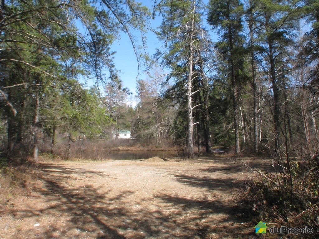 Terre à développer à vendre StHonoreDeChicoutimi, rue Honoré