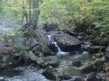 Ruisseau