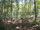 Terrain