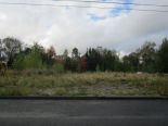 Terrain