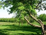 terrains r�sidentiels � Rock Forest, Estrie
