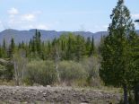 Terrain