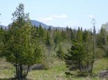 Terrain