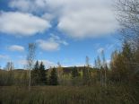 Terrain