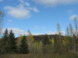 Terrain