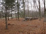Terrain
