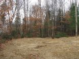 Terrain