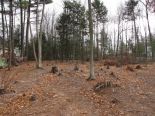 Terrain