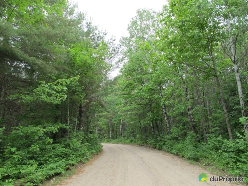 Terre à bois à vendre Kazabazua, du Ruisseau des Cerises, immobilier