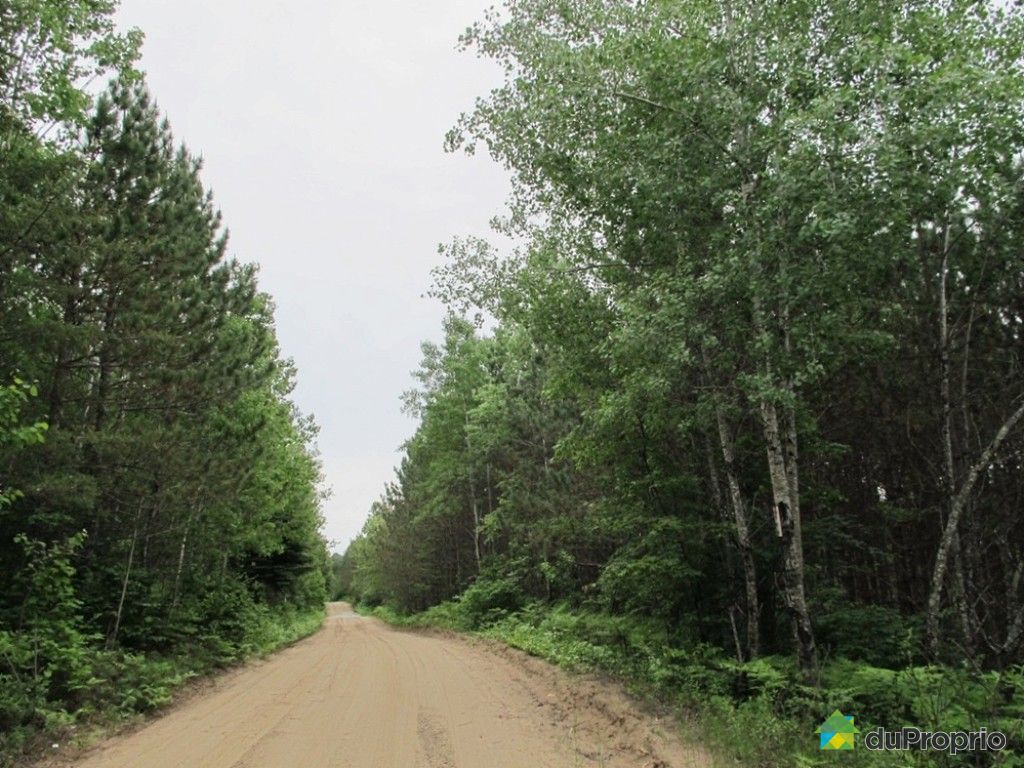 Terre à bois à vendre Kazabazua, du Ruisseau des Cerises, immobilier