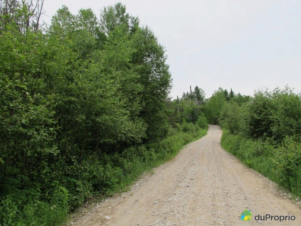 Terre à bois à vendre Kazabazua, du Ruisseau des Cerises, immobilier
