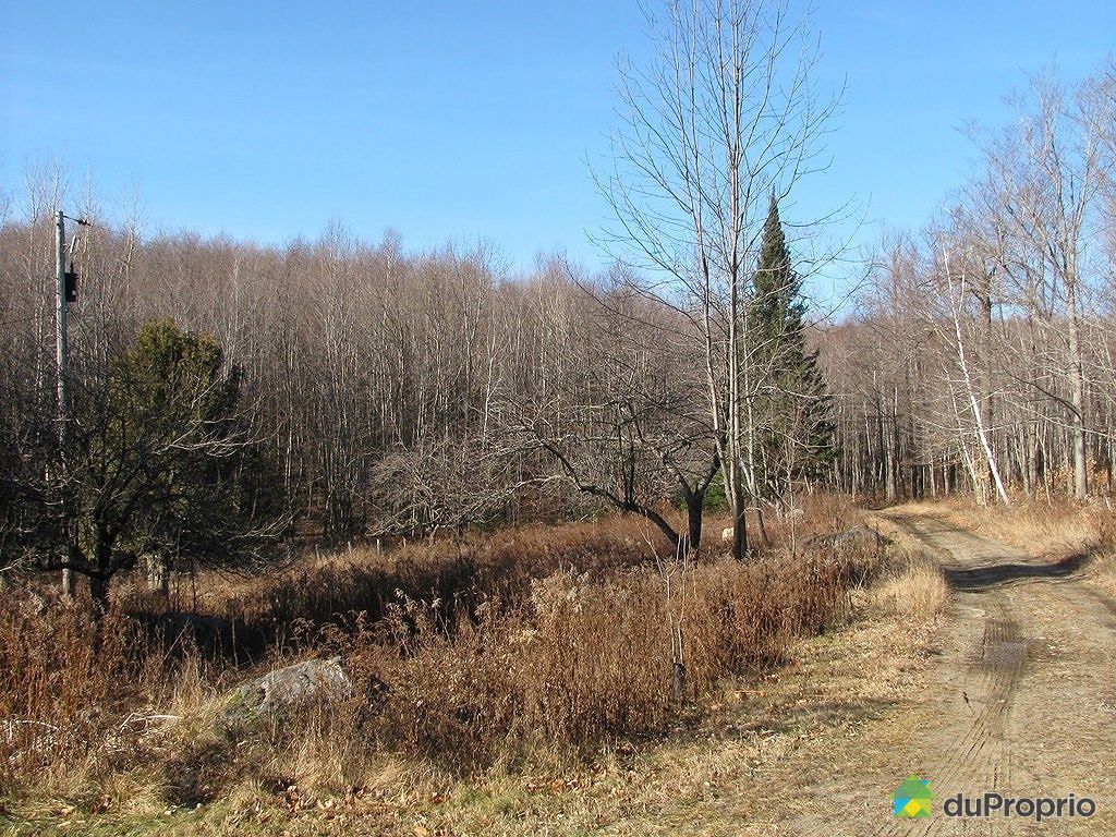Terre à bois vendu StCalixte, immobilier Québec DuProprio 387109 Terre à bois vendu StCalixte, immobilier Québec DuProprio 387109