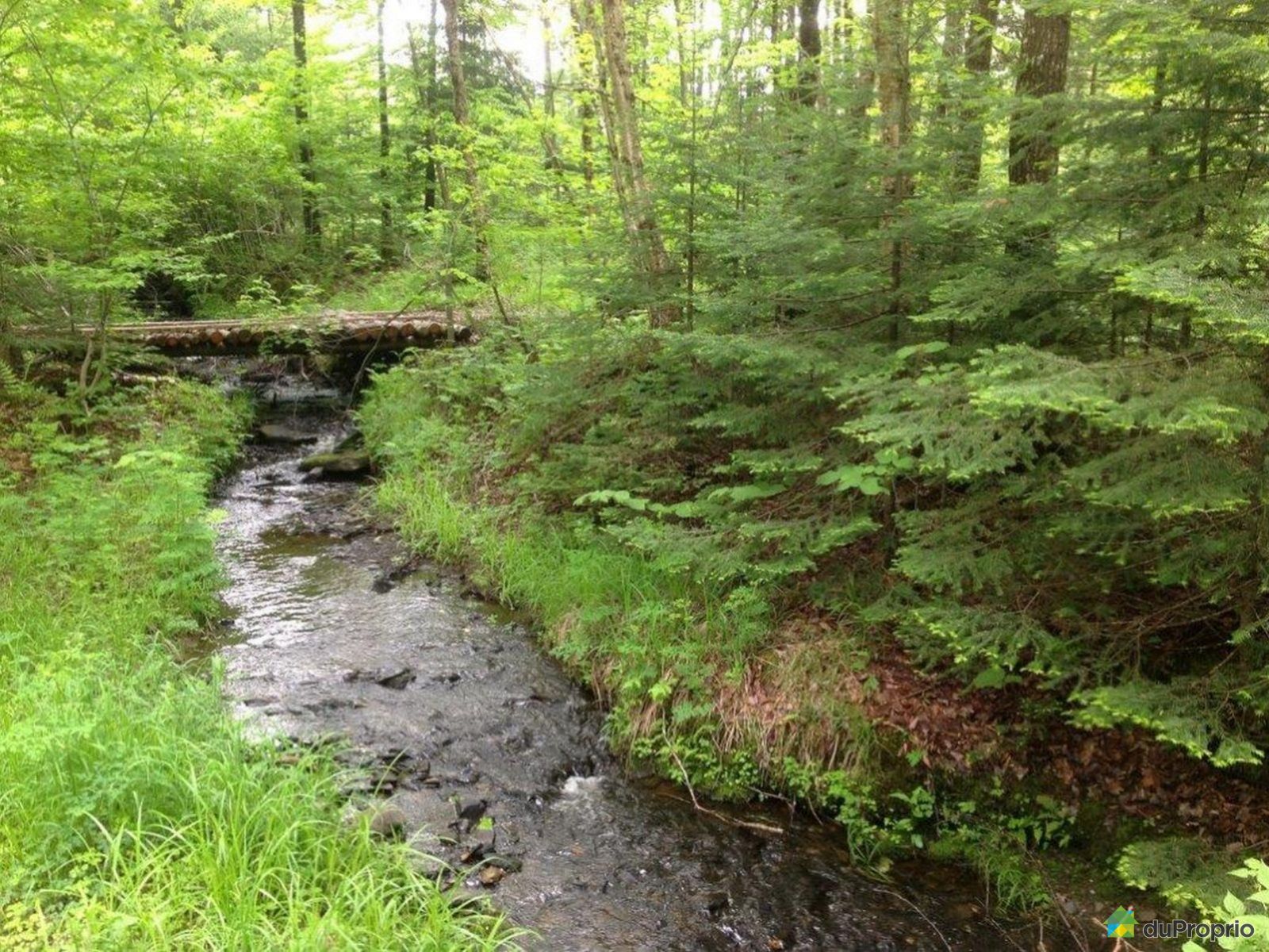 Terre à bois vendu StIsidoredeClifton, immobilier Québec DuProprio 508889 Terre à bois vendu StIsidoredeClifton, immobilier Québec DuProprio 508889