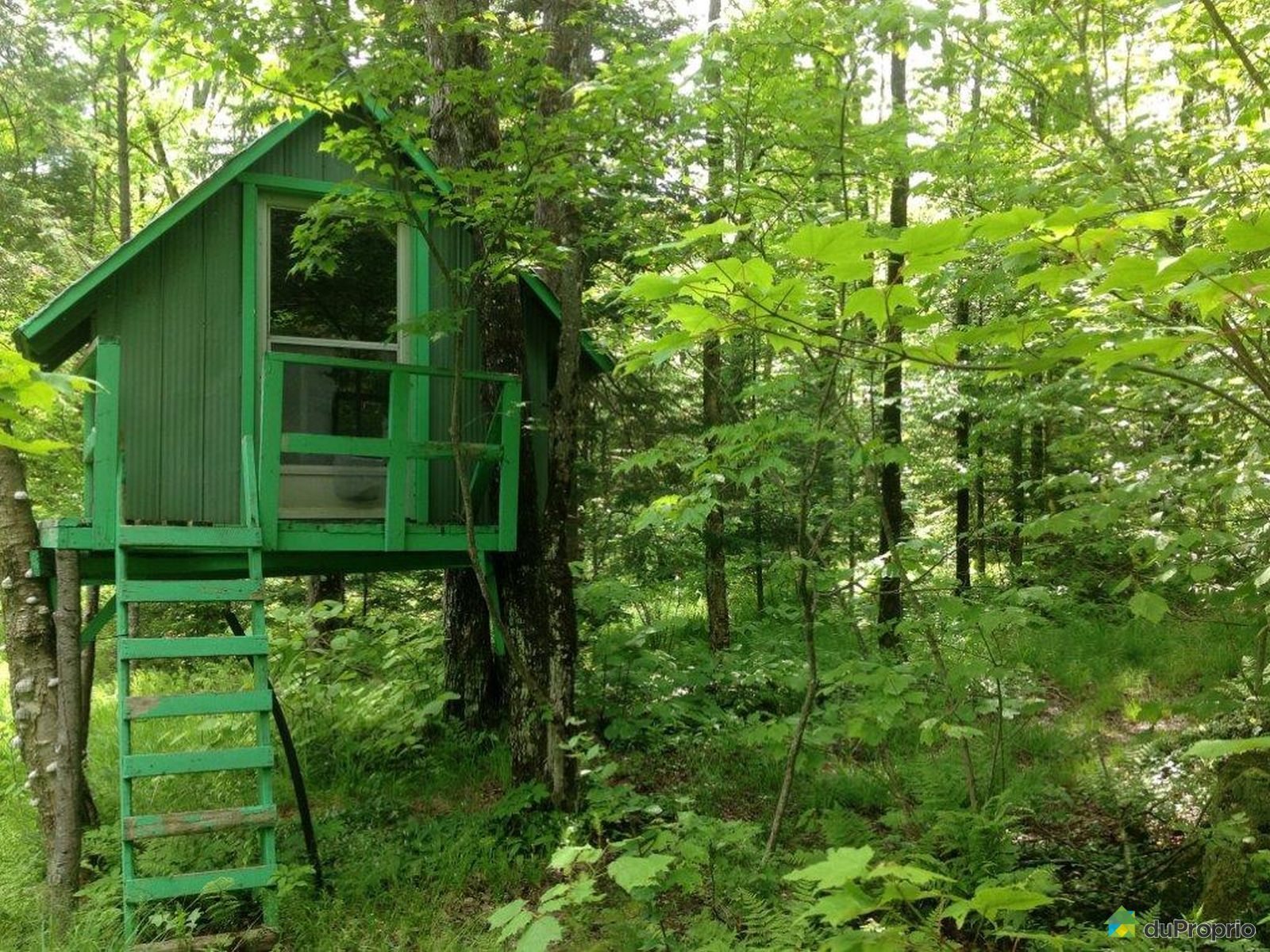 Terre à bois vendu StIsidoredeClifton, immobilier Québec DuProprio 508889 Terre à bois vendu StIsidoredeClifton, immobilier Québec DuProprio 508889