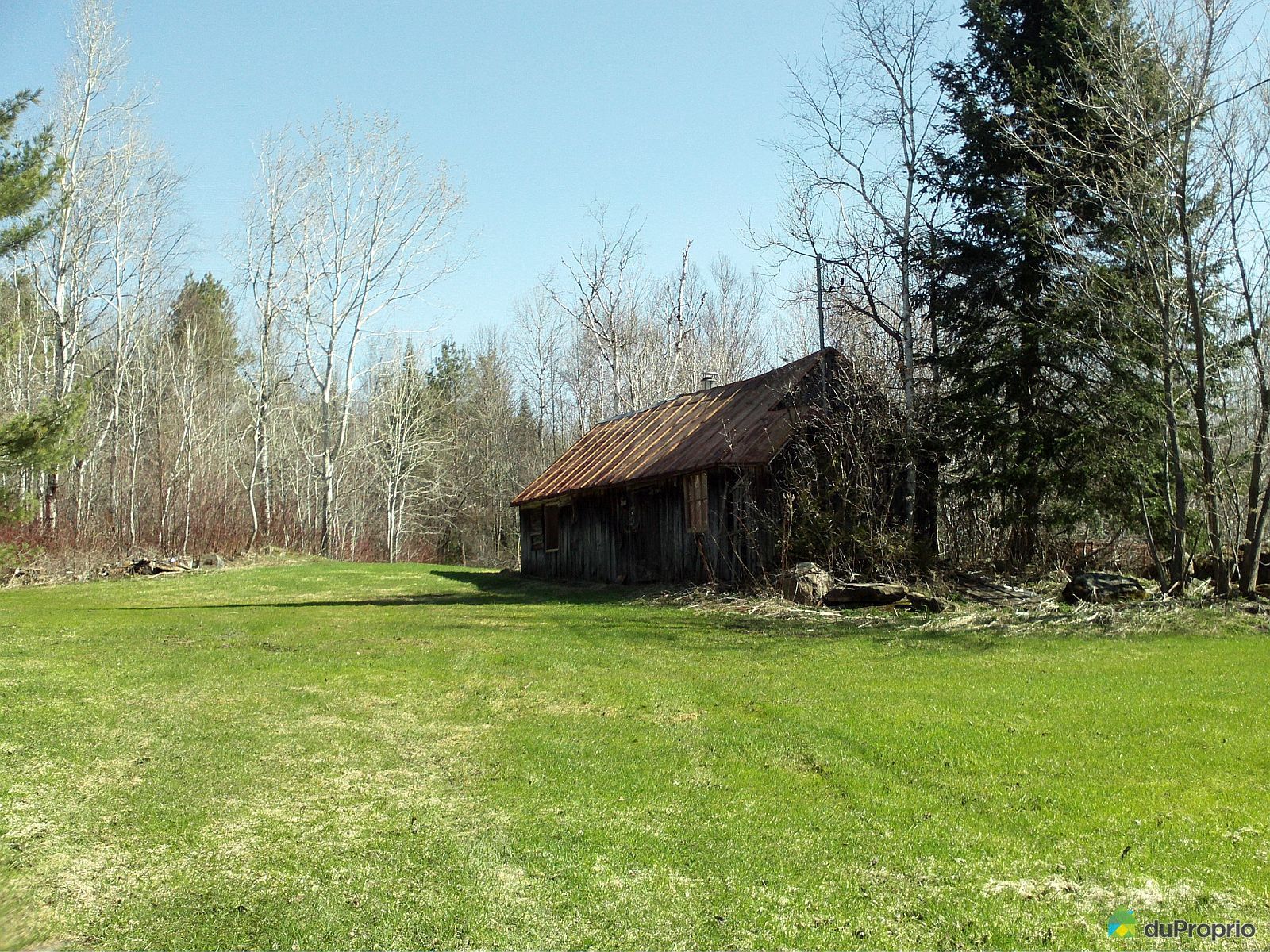 Terre à bois vendu StJeanDeMatha, immobilier Québec DuProprio 502066 Terre à bois vendu StJeanDeMatha, immobilier Québec DuProprio 502066