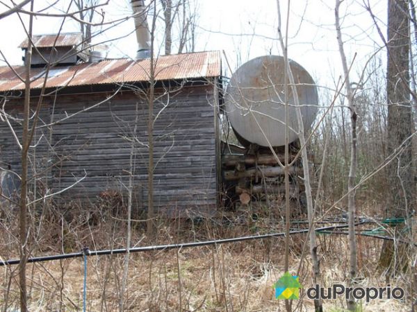 Cabane &agrave; sucre