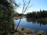 Terre � bois � St-Michel-Des-Sts, Lanaudi�re