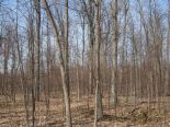 Terrain