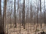 Terrain