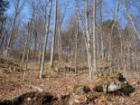 Terrain