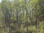 Terrain