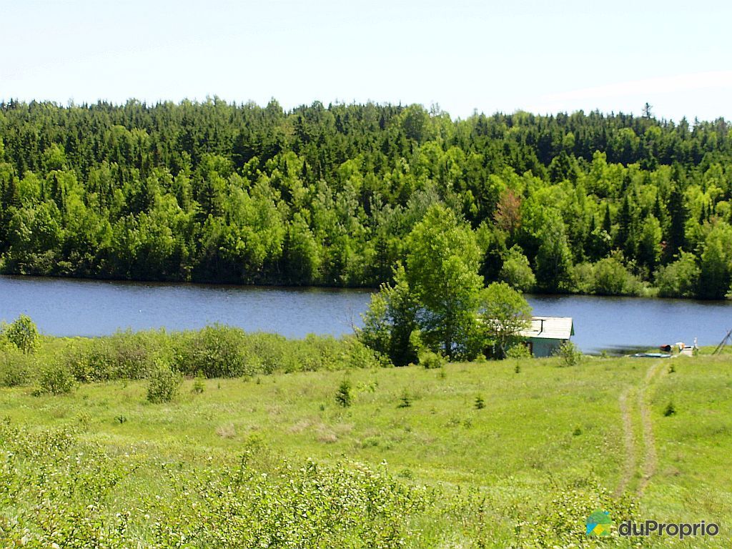 Terre à développer vendu StDamaseDeMatapedia, immobilier Québec