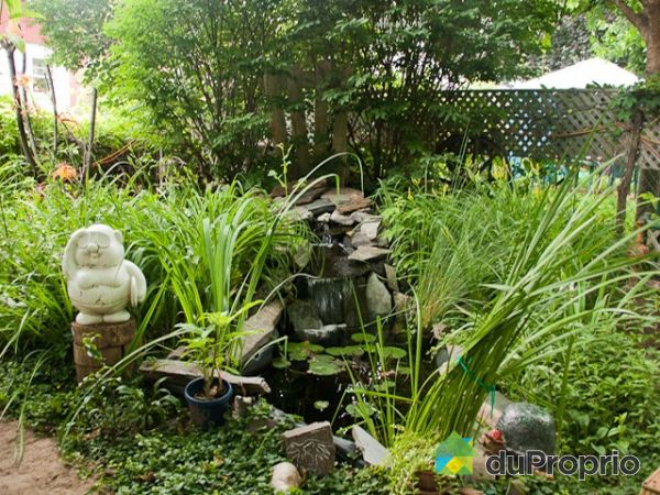 Jardin - Jardin d'eau