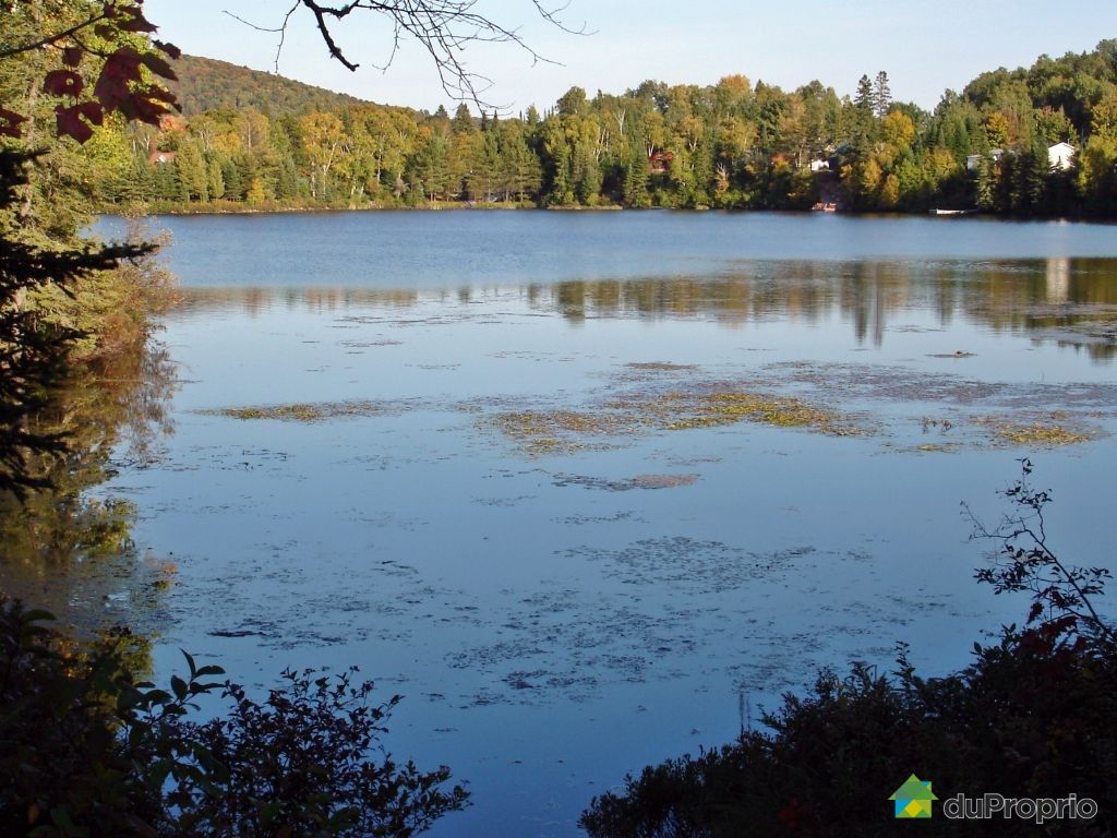 Terrain résidentiel for sale in LacSaguay, 72 chemin Dubois