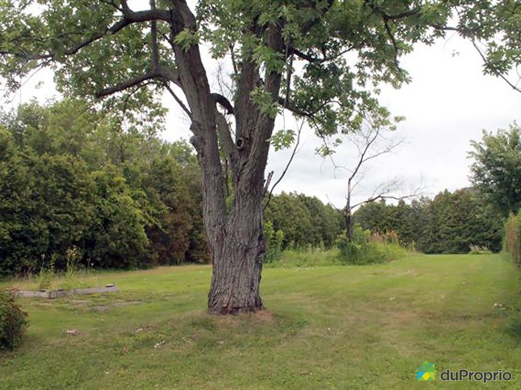 Terrain résidentiel vendu MontStHilaire, immobilier Québec DuProprio 442543 Terrain résidentiel vendu MontStHilaire, immobilier Québec DuProprio 442543