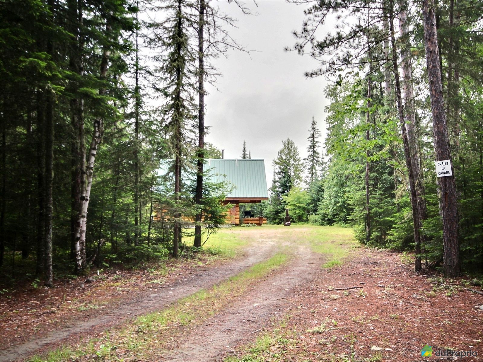 Chalet à vendre StUrbainDeCharlevoix, xxx chemin des Pointes