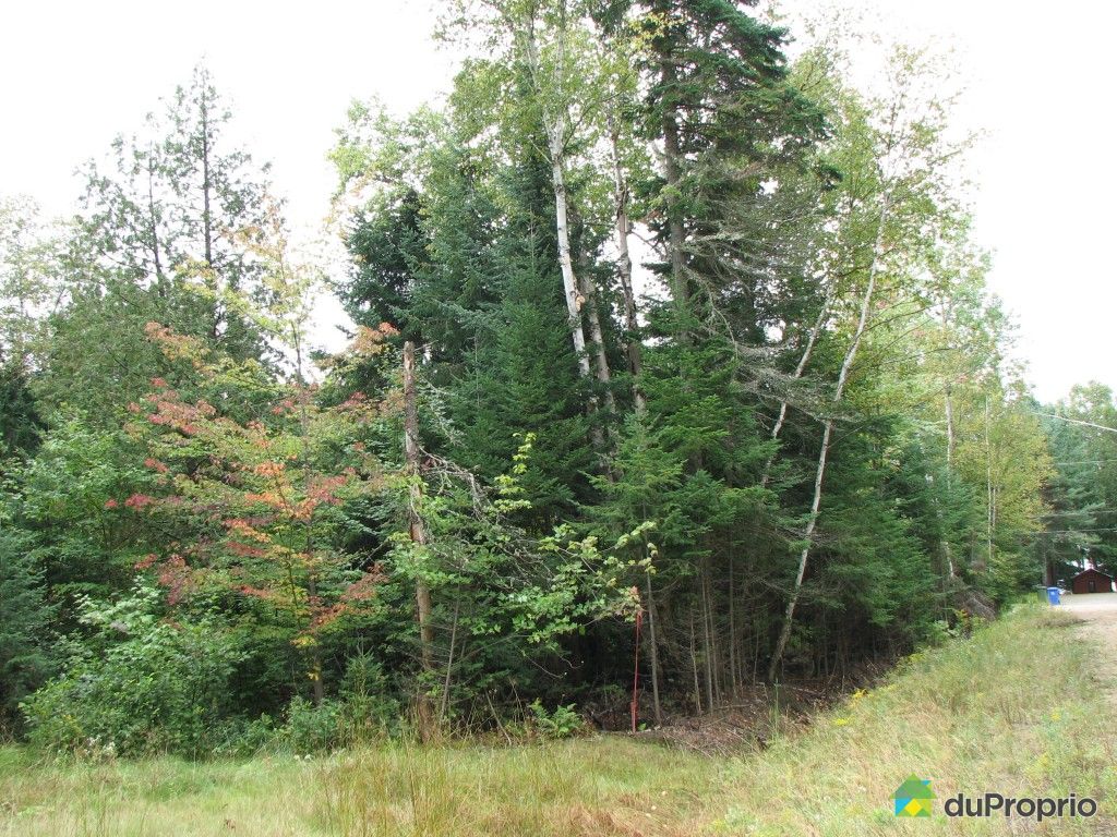 Terrain résidentiel vendu StDonat, immobilier Québec DuProprio 357018