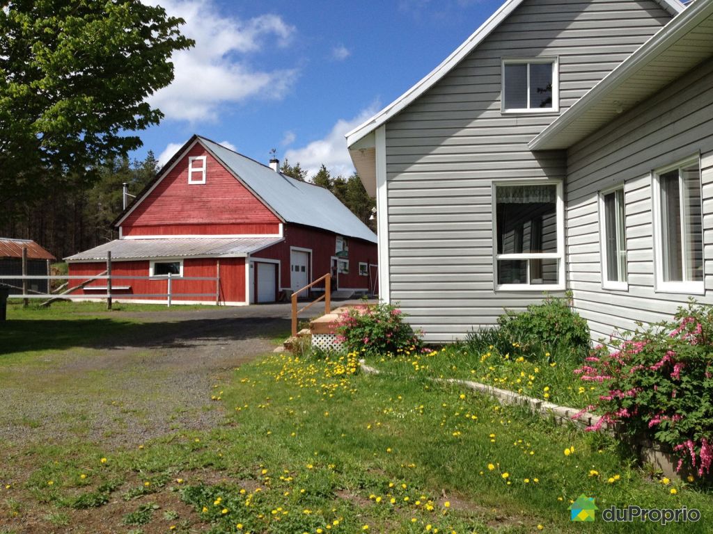Fermette vendu StApollinaire, immobilier Québec DuProprio 484786