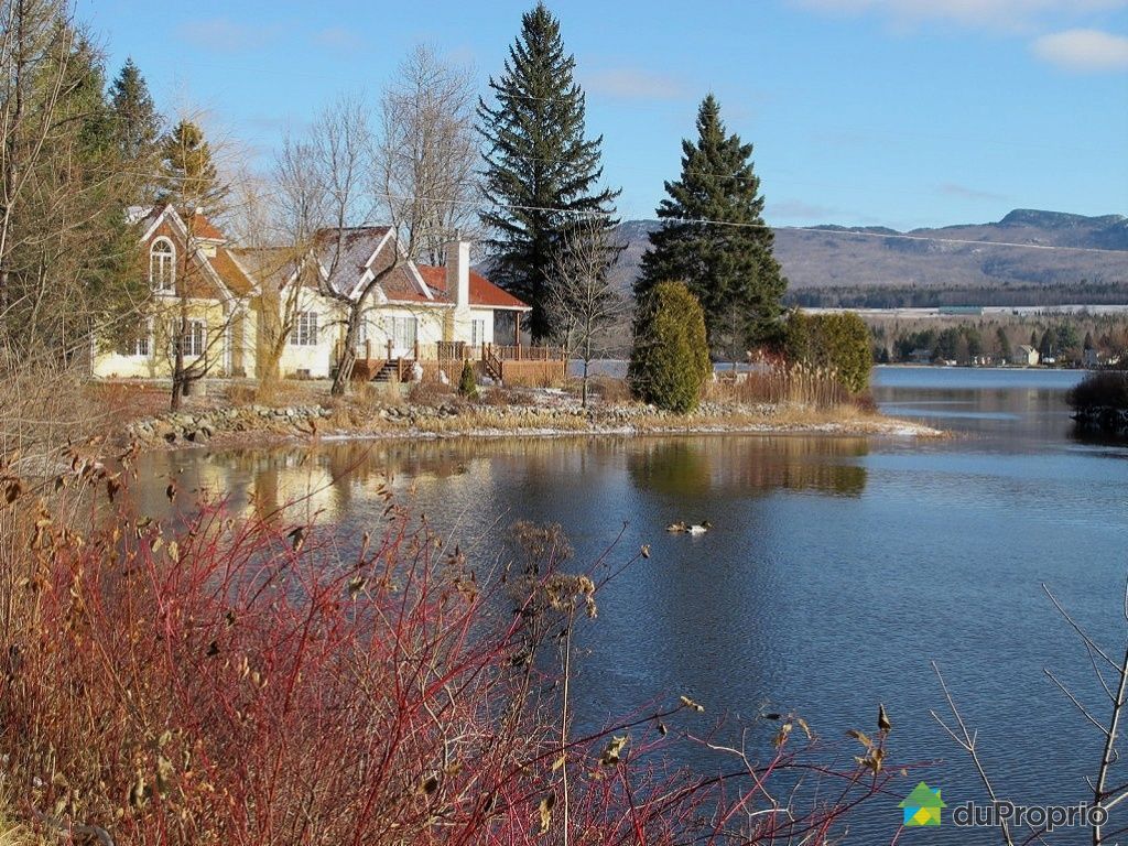 Maison à vendre Eastman, 50 chemin du lac d'Argent, immobilier Québec