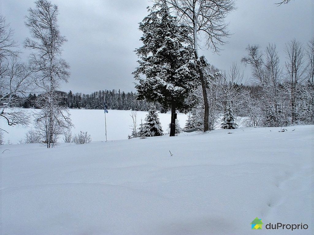 Chalet à vendre Otter Lake, 127, chemin Hughes, immobilier Québec