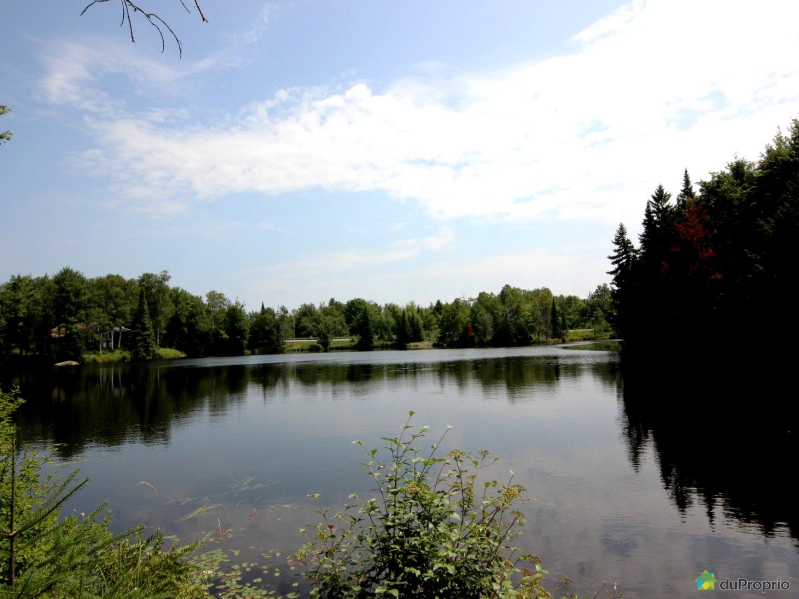 Maison à vendre Gore, 15 rue des Aigles, immobilier Québec DuProprio 539342