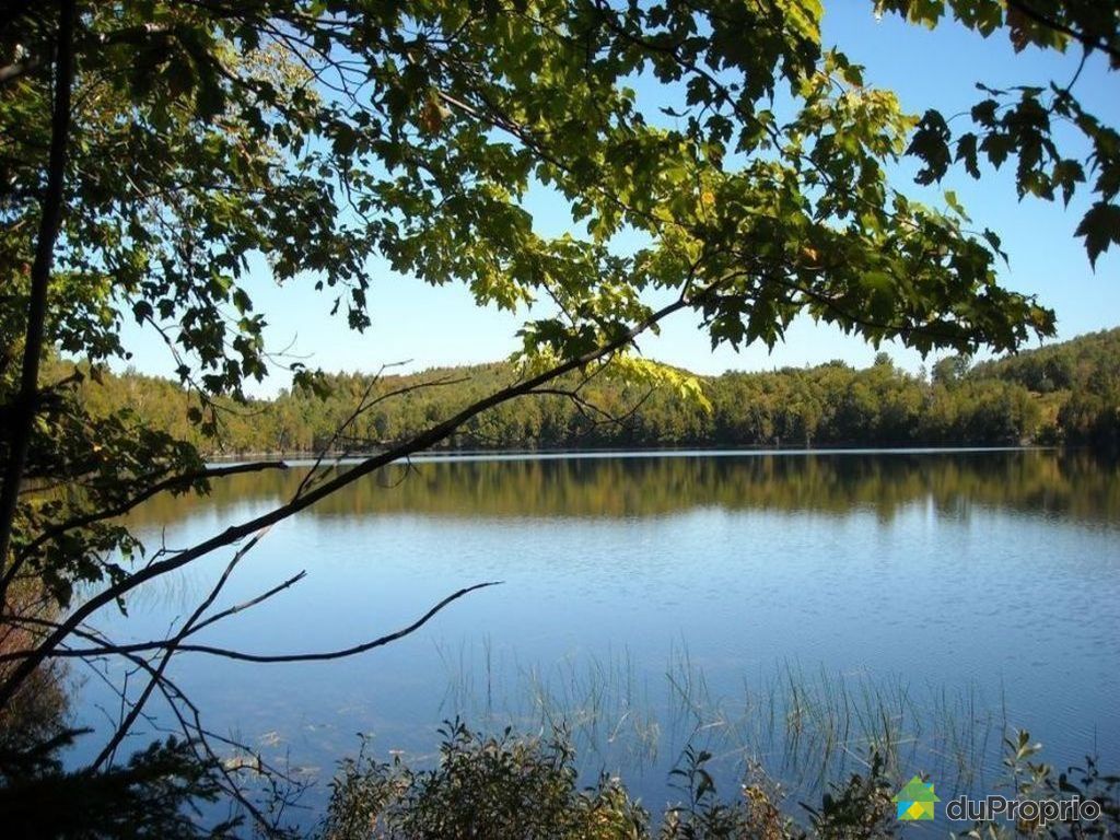 Terrain résidentiel à vendre Mandeville, chemin du Lac Creux