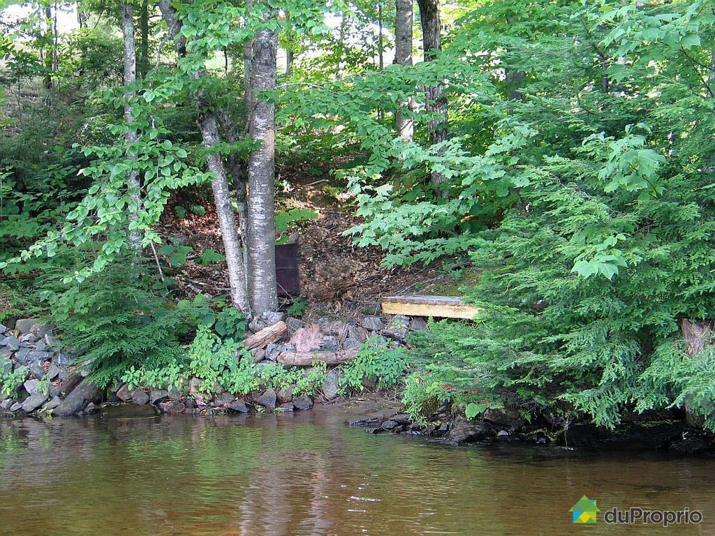 Helpful Tips On Practical Systems In Waterfront Lots Marketing Blurb