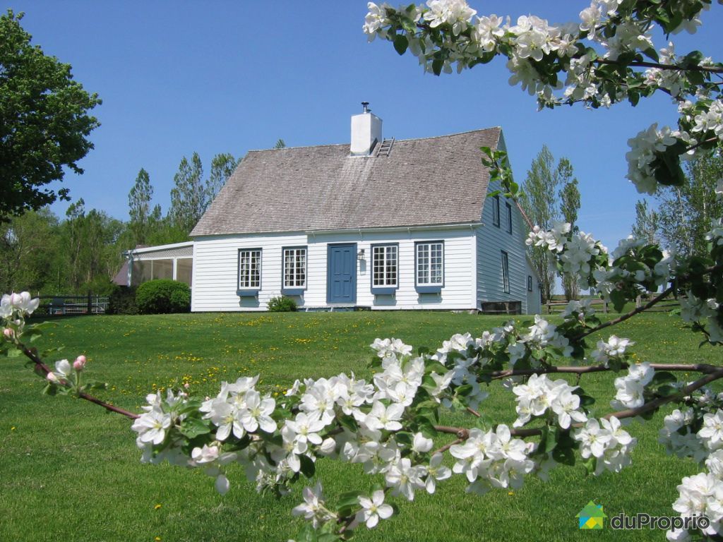 1473, côte Blais, Ile d'Orléans (StJean) à vendre DuProprio