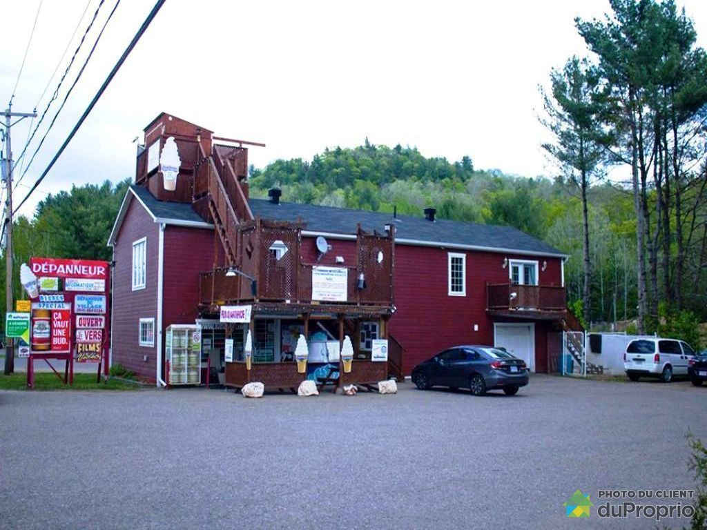 482, Route 309, ValDesBois à vendre DuProprio