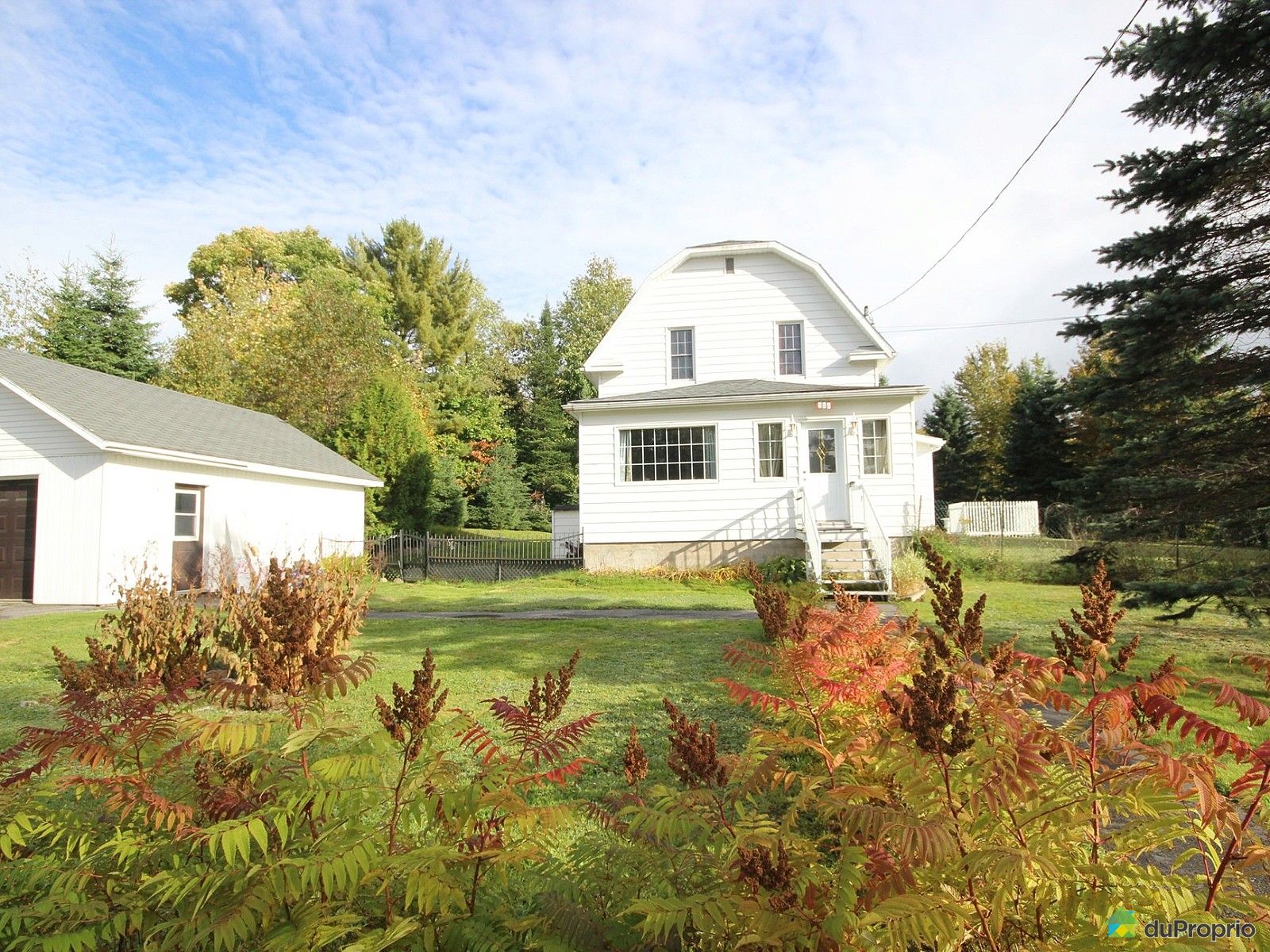 StFaustinLacCarré à vendre DuProprio