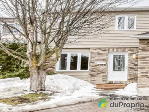 364 Rue Docteur J Cousineau Gatineau Gatineau à Vendre