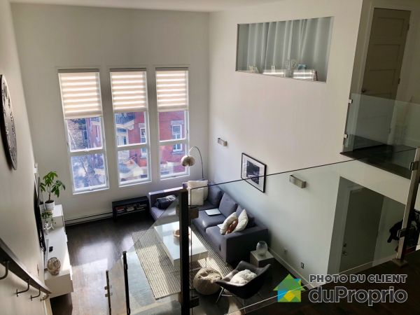 2033 Rue Panet, Ville-Marie (Centre-Ville et Vieux-Montréal) for rent