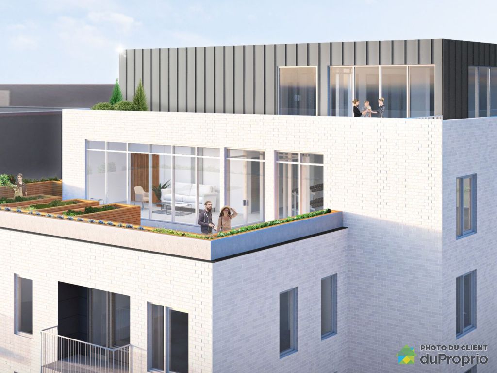 8325 Avenue Christophe Colomb Octave Villeray Unite 511 Villeray St Michel Parc Extension For Rent Duproprio 8325 Avenue Christophe Colomb Octave Villeray Unite 511 Villeray St Michel Parc Extension For Rent Duproprio