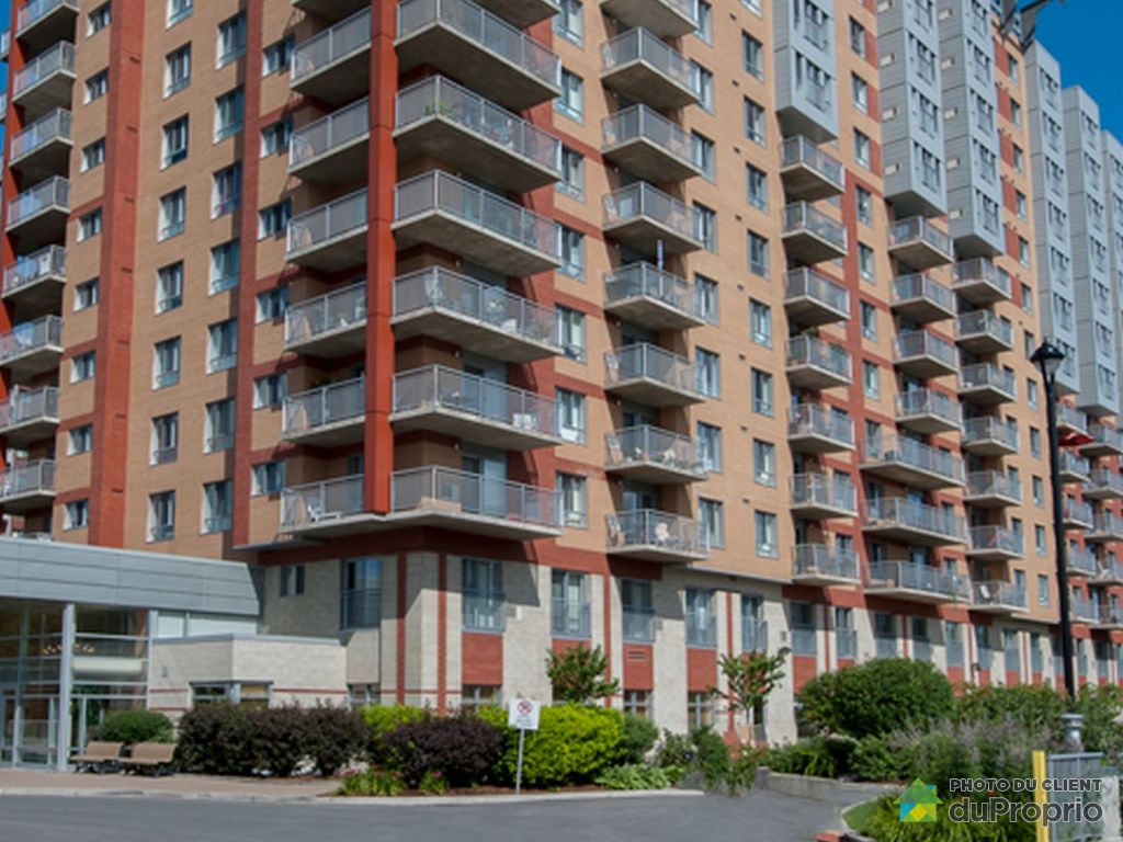 Appartements, maisons à louer, SteRose