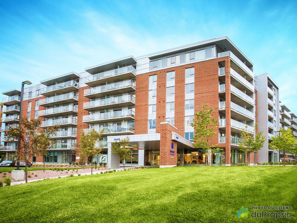 Appartements, maisons à louer, StAugustinDeDesmaures